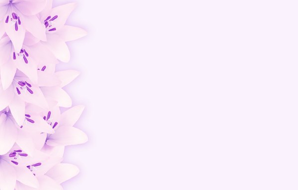 purple flower wallpaper background borders 10 free wallpaper