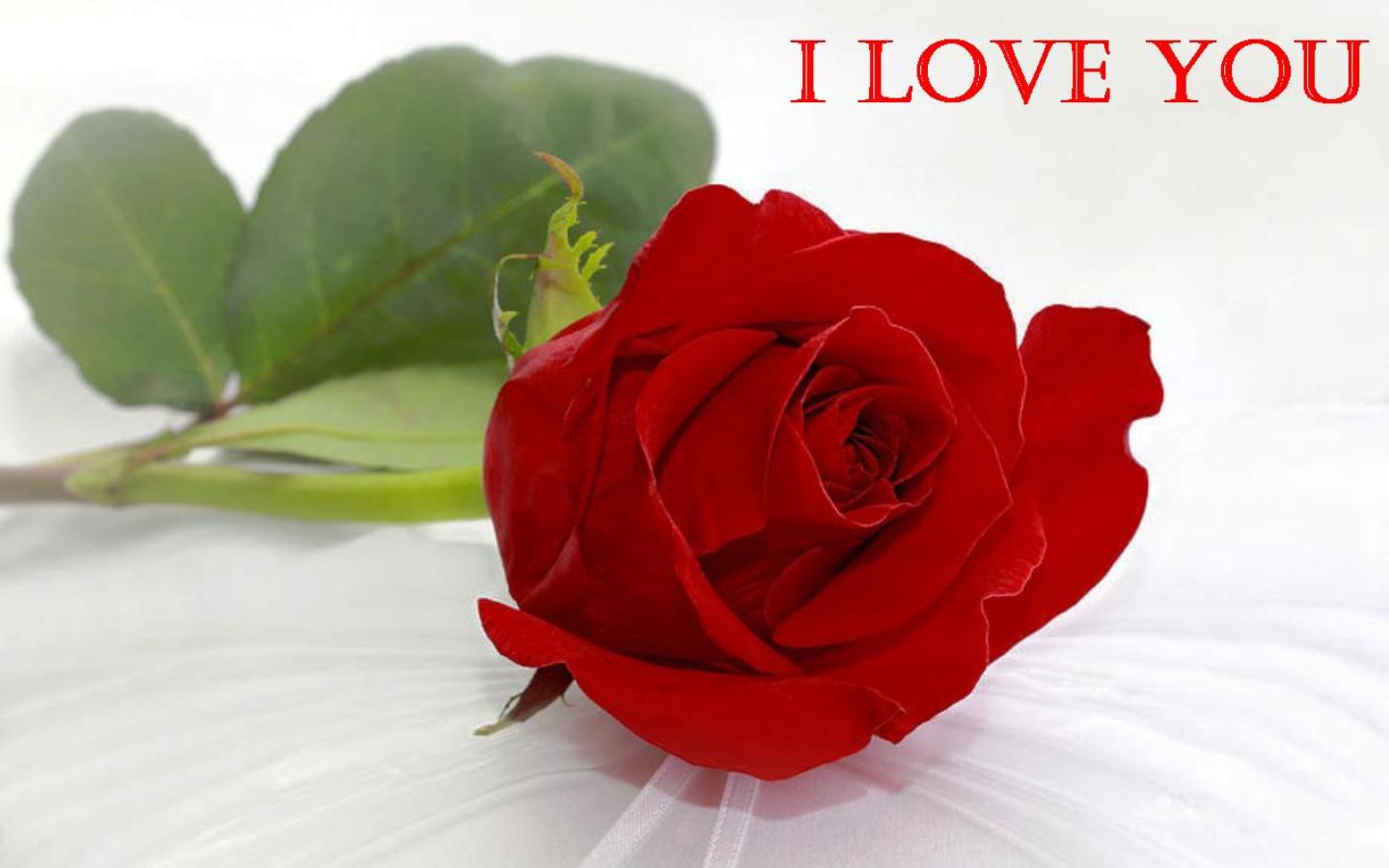 Download Free Wallpaper Roses Love Gallery